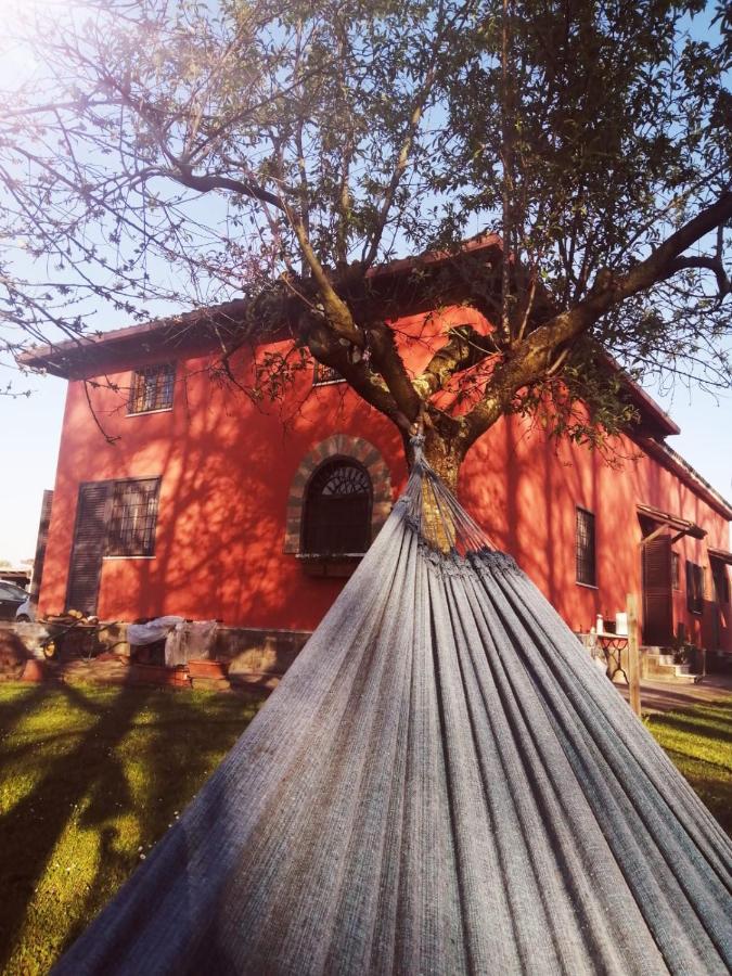 Alloggio Turistico Dakota Manziana ภายนอก รูปภาพ